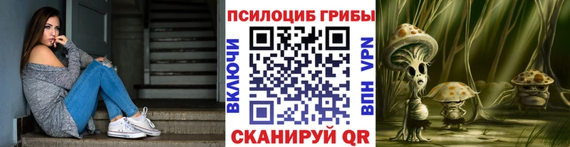 где продают   Приозерск  Галлюциногенные грибы Cubensis 